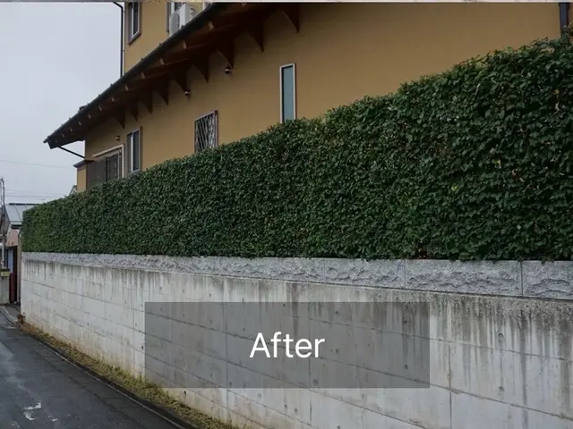 豊富な経験と知識で安心！仕上がり重視で丁寧に作業いたします！サービスの画像