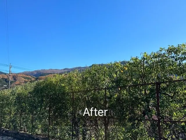 豊富な経験と知識で安心！仕上がり重視で丁寧に作業いたします！サービスの画像