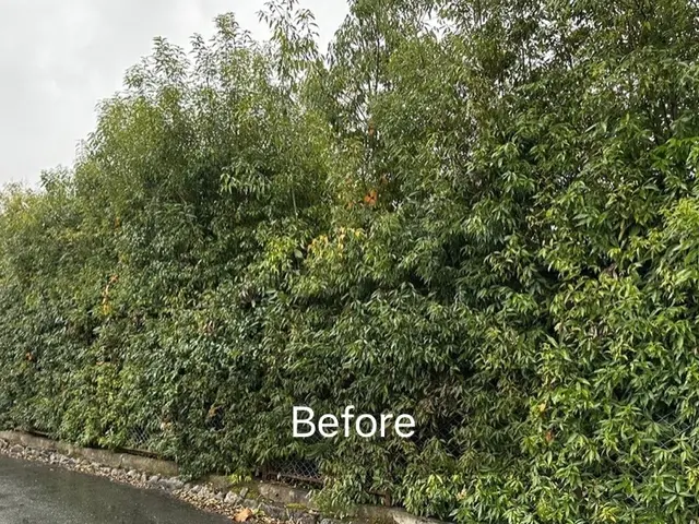 豊富な経験と知識で安心！仕上がり重視で丁寧に作業いたします！サービスの画像