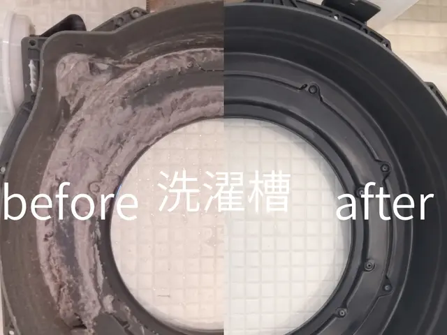 今だけ価格★「乾かない・臭う」を解消！安心洗剤を使用★徹底清掃で清潔と家事時短サービスの画像