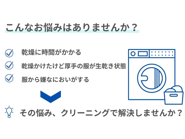 今だけ価格★「乾かない・臭う」を解消！安心洗剤を使用★徹底清掃で清潔と家事時短サービスの画像