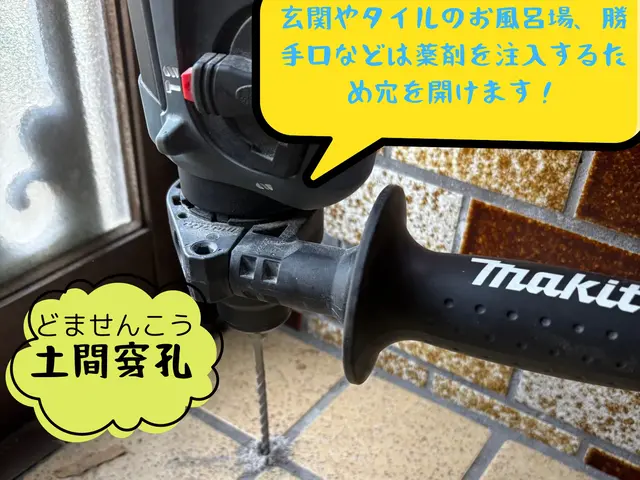 ◤店長訪問◎非喫煙◎即日・緊急のご相談可◎◢サービスの画像