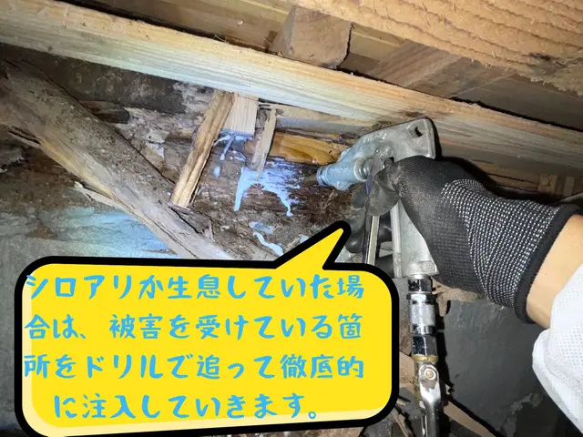 ◤店長訪問◎非喫煙◎即日・緊急のご相談可◎◢サービスの画像