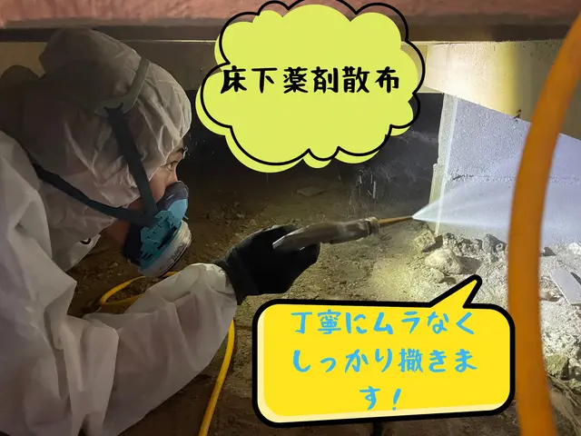 ◤店長訪問◎非喫煙◎即日・緊急のご相談可◎◢サービスの画像