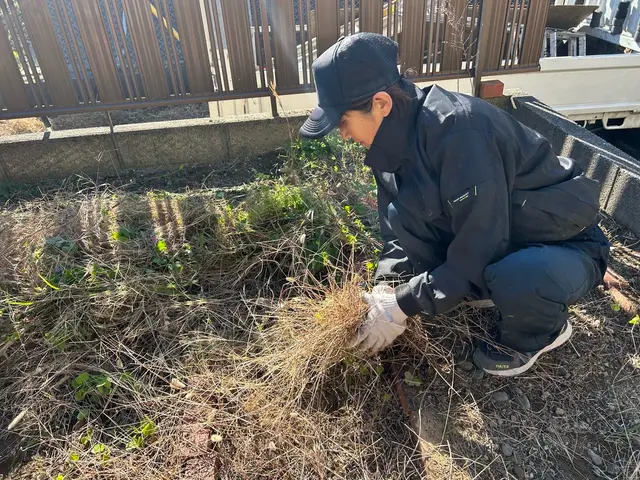 丁寧な草むしり★手作業でキレイに除草致します！お気軽にご相談ください。サービスの画像