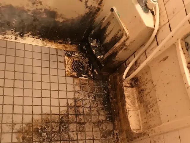 ！新規オープン！女性スタッフ対応可能です。熟練スタッフ多数在籍！サービスの画像