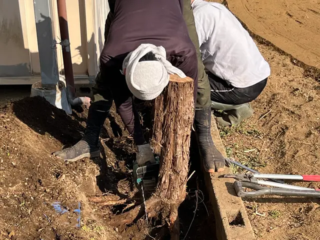 お客様から信頼いただけるよう、一つ一つの作業を迅速丁寧に対応します！サービスの画像