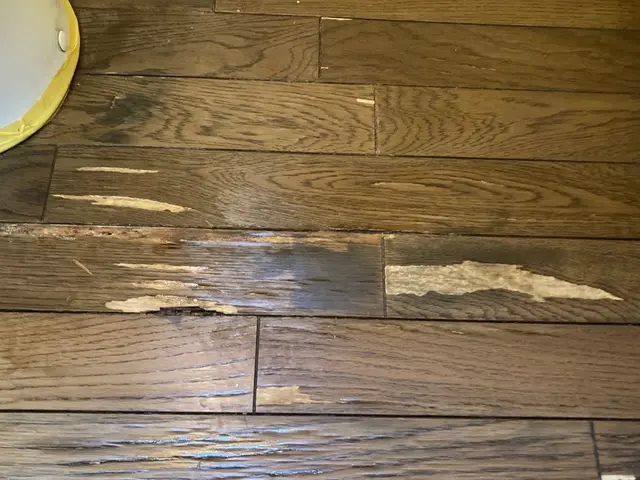 ペットの引掻き傷・家具移動時の穴・日焼け痕・黒シミ等、退去前等、お困りを解決サービスの画像