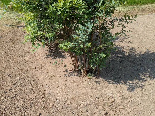 作業外注一切なし◎駐車代お店負担◎お客様の立場になって丁寧に作業します！サービスの画像