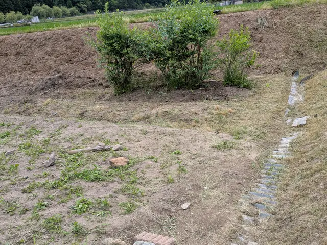 作業外注一切なし◎駐車代お店負担◎お客様の立場になって丁寧に作業します！サービスの画像