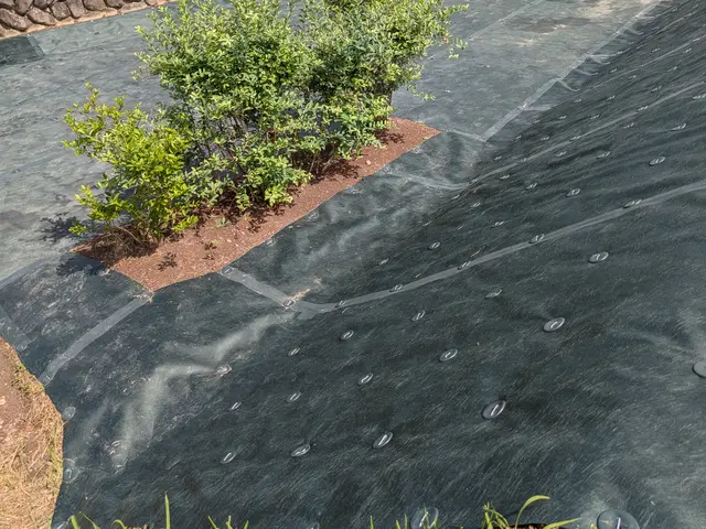 作業外注一切なし◎駐車代お店負担◎お客様の立場になって丁寧に作業します！サービスの画像