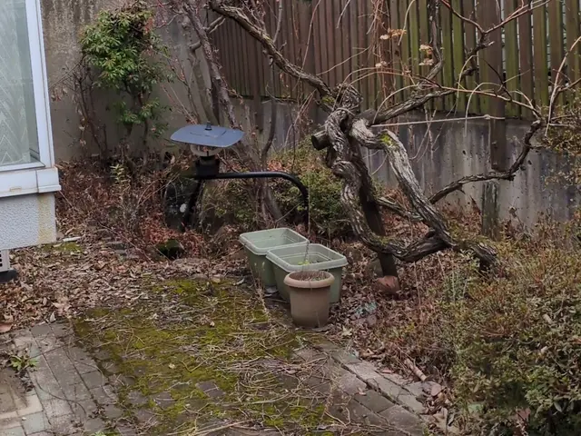 《公認》伐採、抜根、立ち会い無しOK【HFクリーンサービス】にお任せ下さいサービスの画像