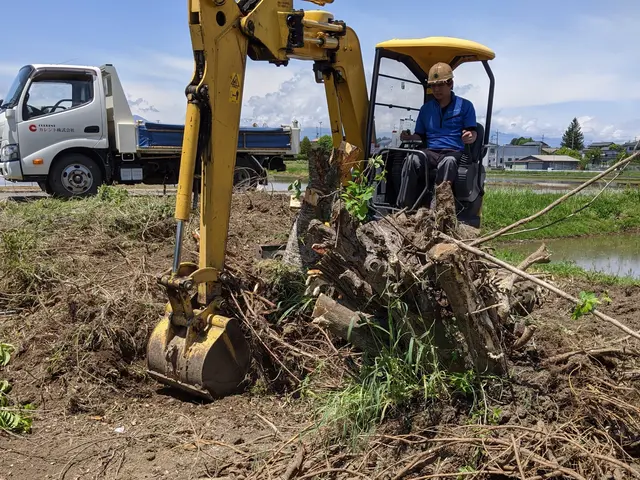 《公認》伐採、抜根、立ち会い無しOK【HFクリーンサービス】にお任せ下さいサービスの画像