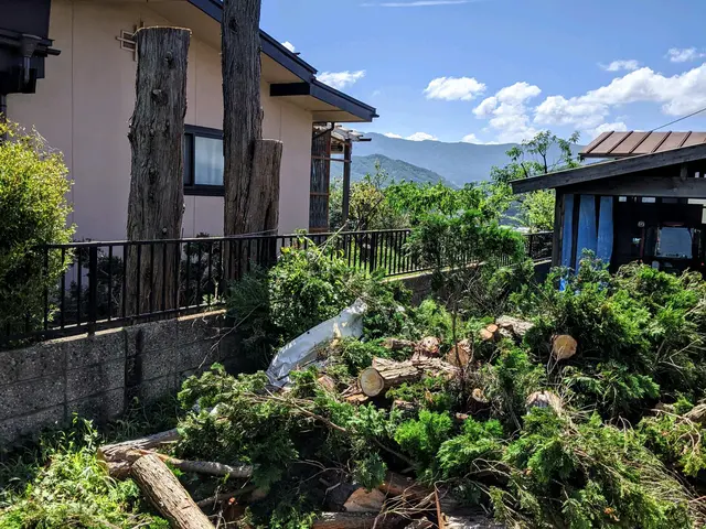 《公認》伐採、抜根、立ち会い無しOK【HFクリーンサービス】にお任せ下さいサービスの画像