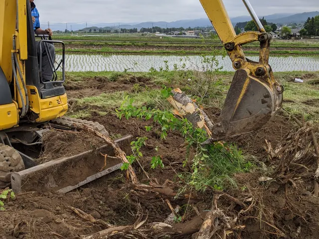 《公認》伐採、抜根、立ち会い無しOK【HFクリーンサービス】にお任せ下さいサービスの画像