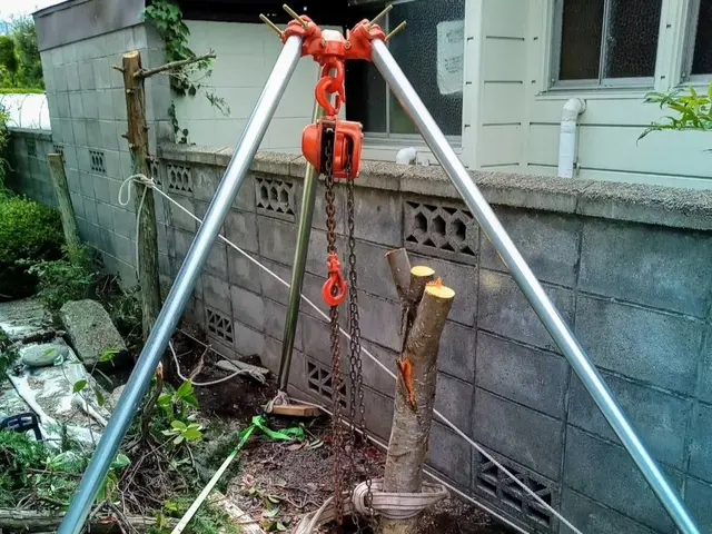 《公認》伐採、抜根、立ち会い無しOK【HFクリーンサービス】にお任せ下さいサービスの画像