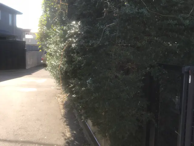 庭木の伐採、抜根はお任せ下さい！24時間・年中無休☆スッキリサービスの画像