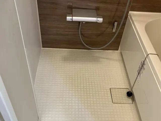 プロの力で！カビ・水アカ徹底除去バスクリーニングサービスの画像