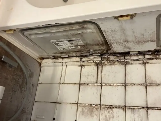 プロの力で！カビ・水アカ徹底除去バスクリーニングサービスの画像