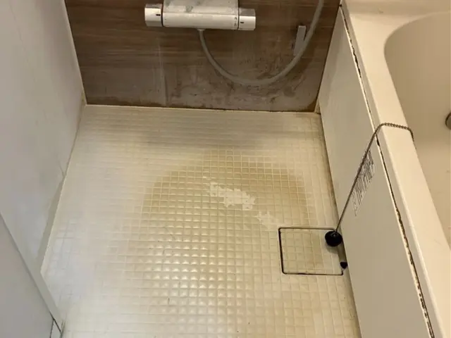 プロの力で！カビ・水アカ徹底除去バスクリーニングサービスの画像