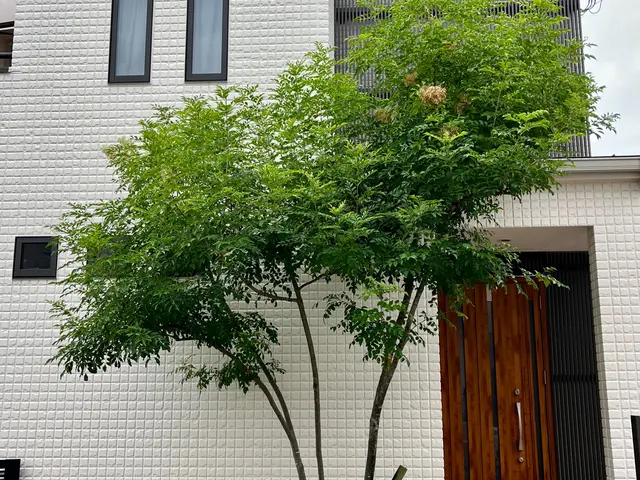 【グリーンいわい】１級造園技能士があなたのお庭をスッキリいたします！サービスの画像