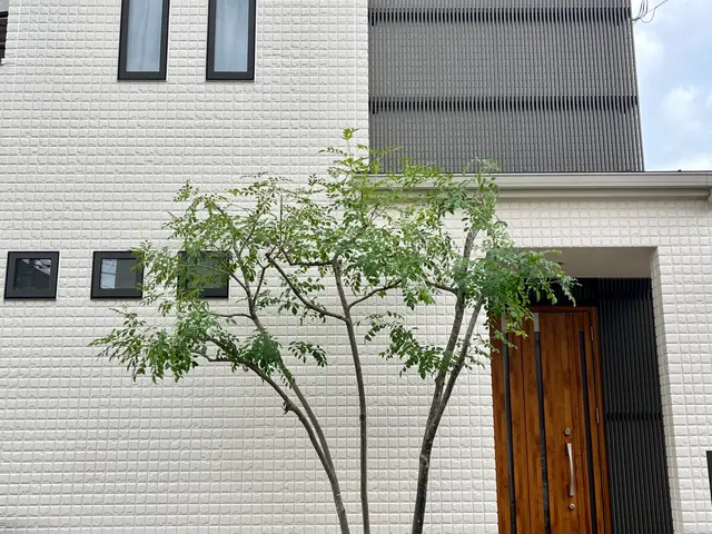 【グリーンいわい】１級造園技能士があなたのお庭をスッキリいたします！サービスの画像