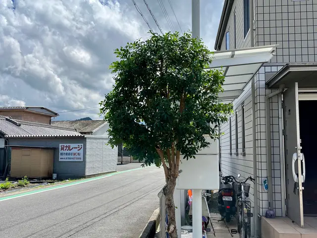 【グリーンいわい】１級造園技能士があなたのお庭をスッキリいたします！サービスの画像