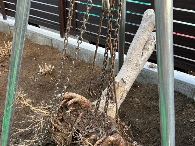 即日対応可能、営業時間外も相談OK！作業外注一切なしで自社スタッフが対応しますサービスの画像