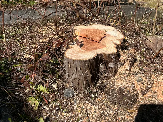 即日対応可能、営業時間外も相談OK！作業外注一切なしで自社スタッフが対応しますサービスの画像