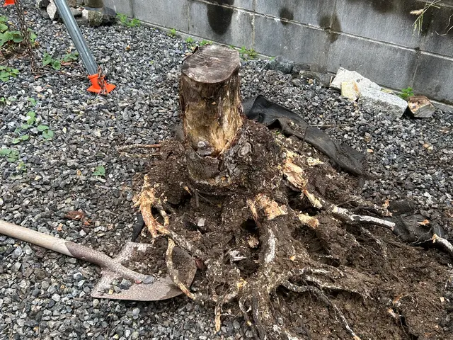 即日対応可能、営業時間外も相談OK！作業外注一切なしで自社スタッフが対応しますサービスの画像