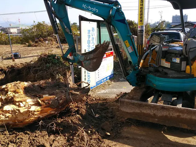 伐採　抜根に自信あります。サービスの画像