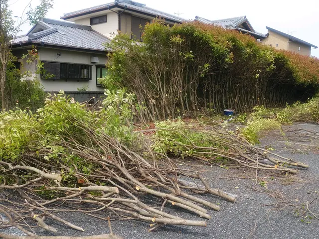 伐採　抜根に自信あります。サービスの画像