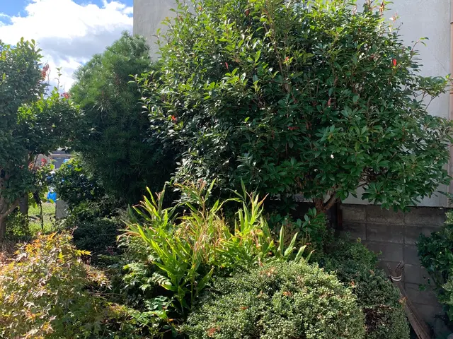 《業界14年！年中無休でご対応◎》地域に根ざしたサービス提供を目指しています！サービスの画像