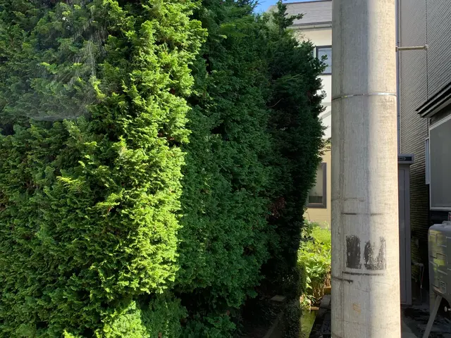 《業界14年！年中無休でご対応◎》地域に根ざしたサービス提供を目指しています！サービスの画像