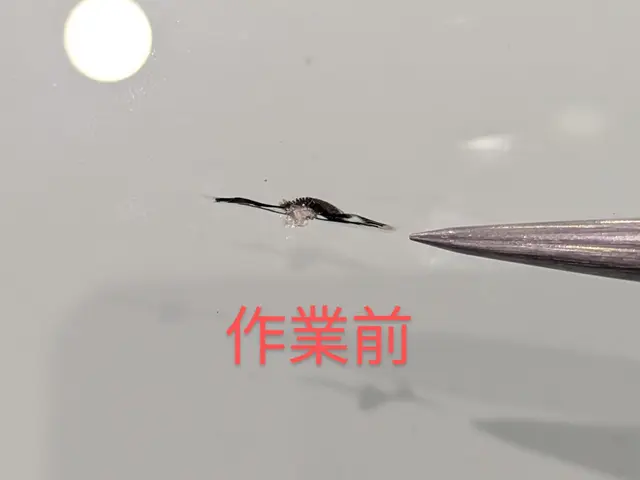 【出張施工】フロントガラスの飛び石リペア！当社スタッフがすべてご対応！サービスの画像