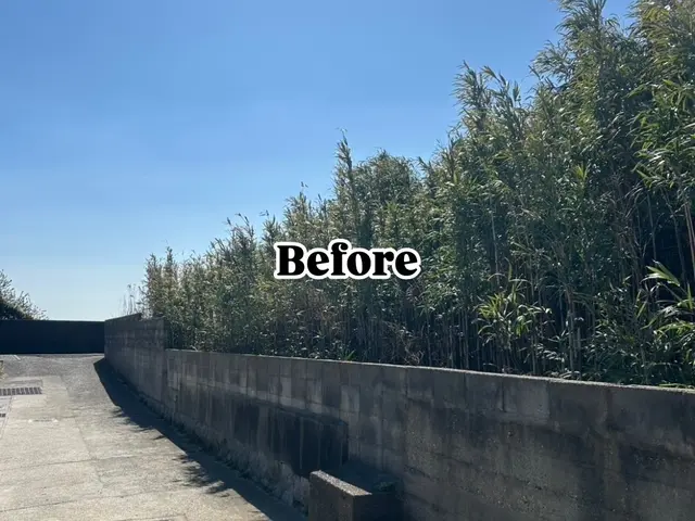 安全第一！迅速・丁寧な作業で、お庭の悩みを解決します！サービスの画像