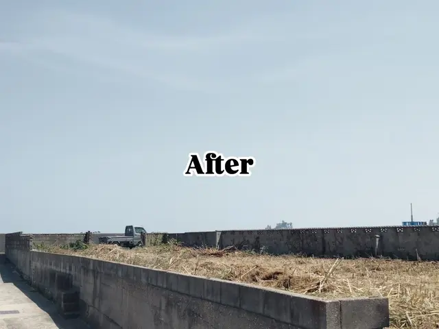 安全第一！迅速・丁寧な作業で、お庭の悩みを解決します！サービスの画像