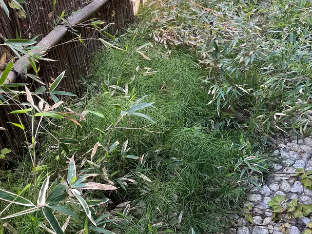 安い、早い、丁寧をモットーに！　　　　親切丁寧な草刈りサービス！サービスの画像