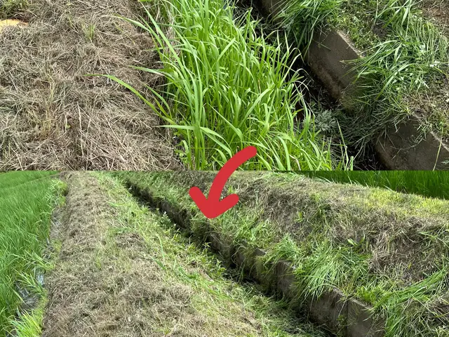 安い、早い、丁寧をモットーに！　　　　親切丁寧な草刈りサービス！サービスの画像