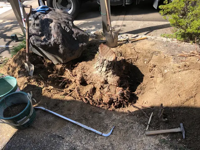 【業歴25年の経験と実績】年中無休◎駐車代お店負担◎女性スタッフ同行可能サービスの画像