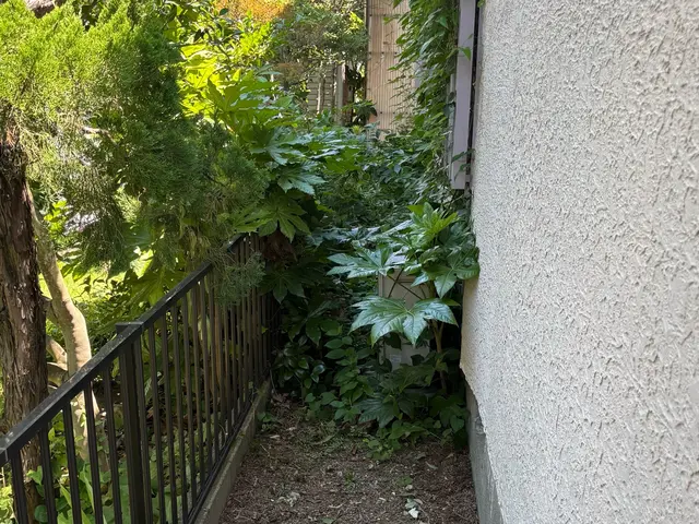 プロの技術でご満足いただけるように心を込めて作業いたしますサービスの画像