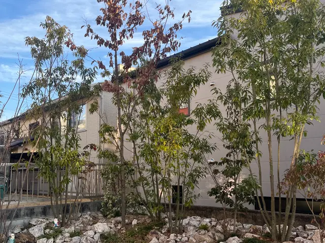 お寺・日本庭園の経験を活かした自然な仕上がりで、お庭を美しく整えます！サービスの画像