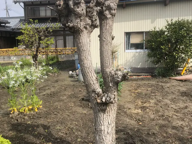 ＜業歴32年のベテランスタッフが出向＞京都府から伺います！駐車場代は当社負担◎サービスの画像