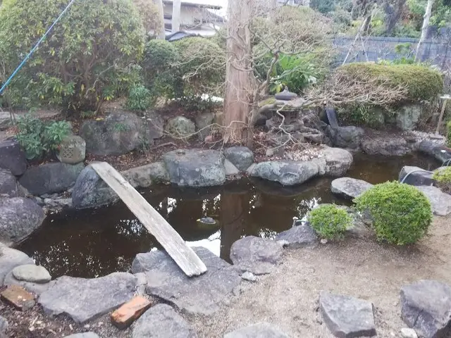 庭師さんでも嫌がる【草むしり】北九州および近郊　毎年繰り返しのお宅４３軒の実績サービスの画像