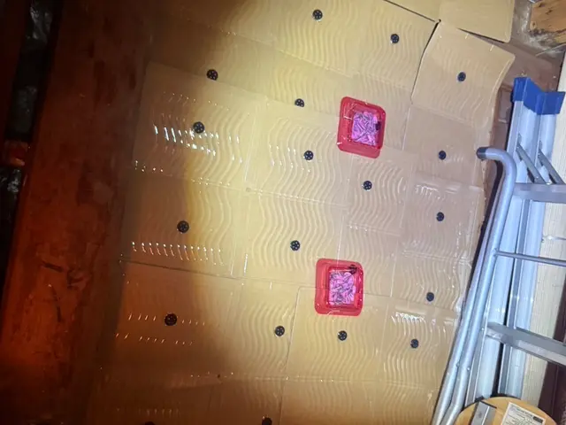 ネズミ駆除プロ｜家全体の侵入口特定と再発防止施工サービスの画像