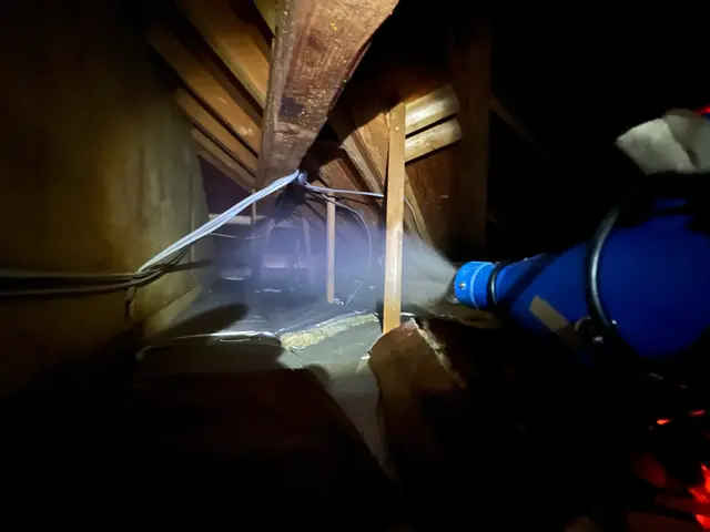 ネズミ駆除プロ｜家全体の侵入口特定と再発防止施工サービスの画像