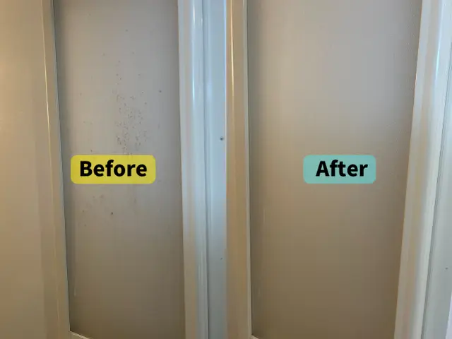 年中無休対応可能！浴室まるごとクリーニング｜カビ・水垢・鏡のウロコ徹底除去！サービスの画像