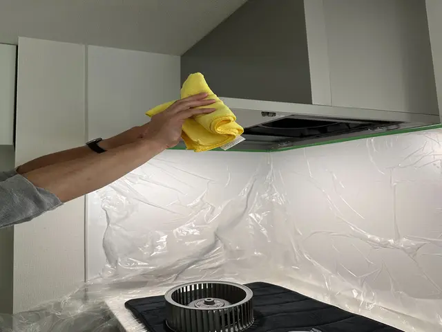 家庭では難しい頑固な油汚れ、レンジフード清掃お任せ下さい！キッチン簡易清掃付！サービスの画像