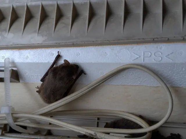 【業界14年の豊富な経験あり！】年中無休◎当社のプロ集団が全て対応いたします！サービスの画像