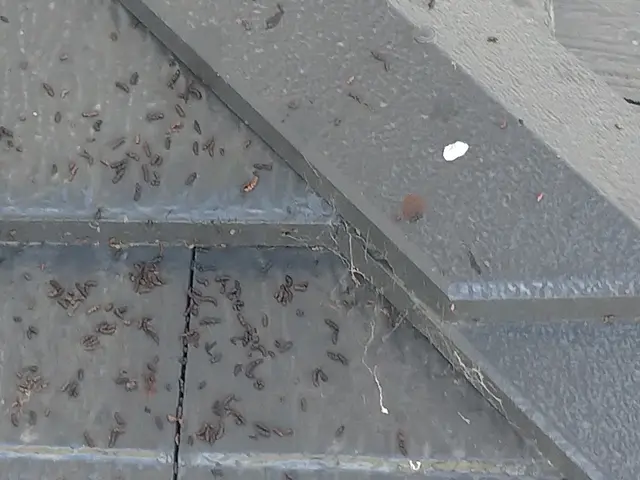 【業界14年の豊富な経験あり！】年中無休◎当社のプロ集団が全て対応いたします！サービスの画像